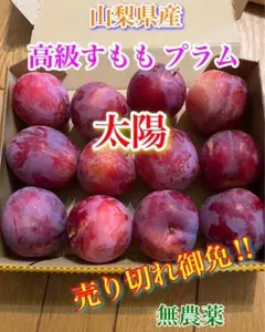 青プラム 摘果すもも 小さめ 太陽 サンタローザ 青プラム 摘果すもも 小さめ 3キロ位 太陽 サンタローザ - メルカリ