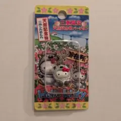 新品未開封 ハローキティファスナーマスコット信州限定りんご姫