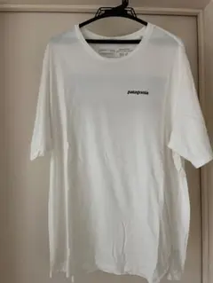 patagonia オーガニックコットン Tシャツ L