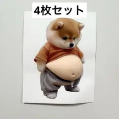 ぷくぷくシール 柴犬 ぷにぷに 3D 立体シール 犬 おなか マシュマロ　メタボ