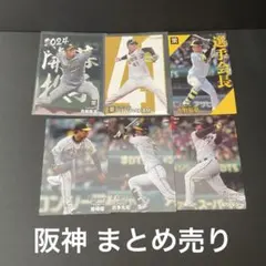 プロ野球チップス 2024 青柳晃洋 村上頌樹 中野拓夢 近本光司 岩崎優 他