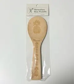 Item thumbnail for item 260f3ea1-3c23-4d91-ba23-b8a45d9575ff