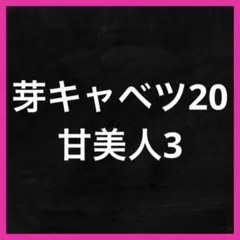 こりん様 リクエスト 2点 まとめ商品