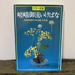 希少 絶版 嵯峨御流 盛花 いけばなカードブック 旧嵯峨御所華道総司所編 生け花 嵯峨御流生花 (いけばなカードブック) | 旧嵯峨御所華道総司所
