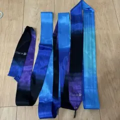 Item thumbnail for item c1dfe1a8-82fc-46e7-bdfd-c4a2f91cde62