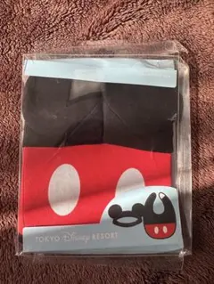 東京ディズニーリゾート ミッキーマウス スタイ　ヘアバンド　セット