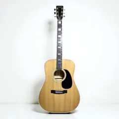 2025年最新】スプレンダー ギターの人気アイテム - メルカリ