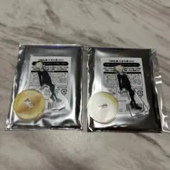 刀剣乱舞 大本丸博 2025 祝装ミニアクリルスタンド 太閤左文字