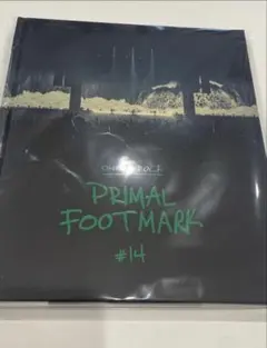 ONE OK ROCK PRIMAL FOOTMARK #14 2025