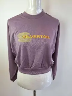 Levi's SILVERTAB グラフィッククルースウェットシャツ パープル