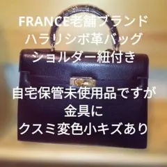 FRANCEPARIS老舗 hallaliバッグ ショルダー有自宅保管未使用品 - メルカリ