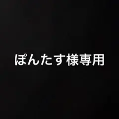 ぽんたす様専用