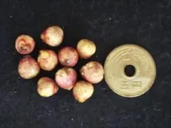 S,maiii⭐様 リクエスト 3点 まとめ商品