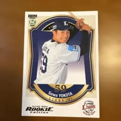 Item thumbnail for item ecaacd40-f6cb-4f7e-ae4b-04321421d950