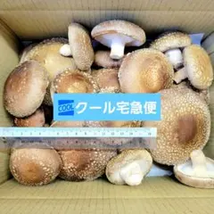 天日干し 乾燥しいたけ 秋田県産 軸なし300g 送料込 ^_^ - メルカリ