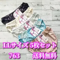 LLサイズ❤️5枚セット トリコット レディース ショーツ まとめ売り763