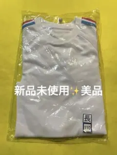 体操服 長袖110cm ブルー×レッドライン ひかりのくに