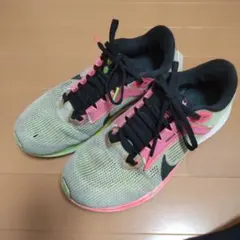 NIKEペガサス40 26cm
