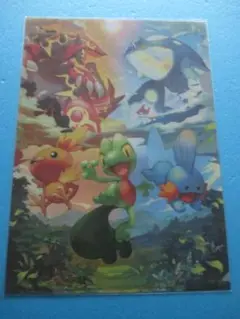 ポケモンセンター限定◎オメガルビー＆アルファサファイア　A4クリアファイル