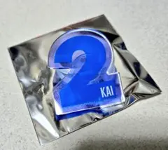 超特急 カイ ペンライト 2本セット - メルカリ