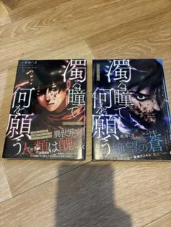 濁る瞳で何を願う ハイセルク戦記 1・2巻セット