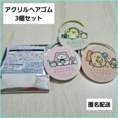 【3点セット】すみっコぐらし アクリルヘアゴム しろくま ぺんぎん とんかつ