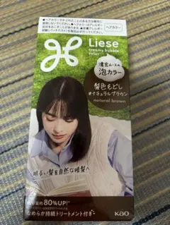 Liese 泡カラー 髪色もどし ナチュラルブラウンのサムネイル