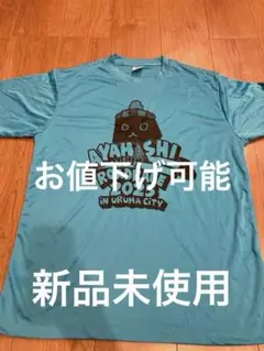 AYAHASHI ROADRACE 2025 Tシャツ 水色 あやはしマラソン