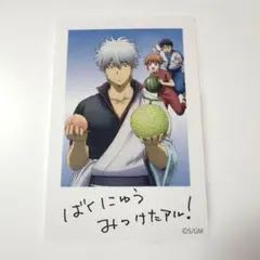 銀魂 映画 吉原大炎上 入場者特典 第8弾 書き下ろしメモリアルイラストカード