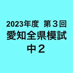 2026年最新】愛知全県模試の人気アイテム - メルカリ