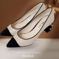 DIANA ベージュ/ブラック
