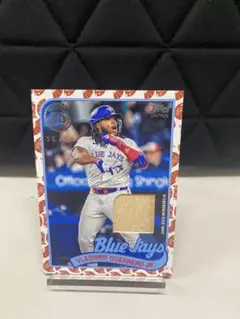 Vladimir Guerrero Jr. 1989 Topps レリックカード