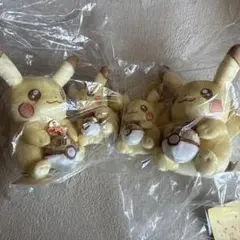 ピカピカ！ピカチュウ 30周年記念 ぬいぐるみ＆マスコット 各2点 4個セット✨