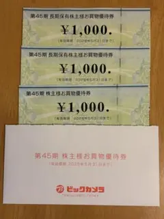 ビックカメラ　株主優待　お買物優待券　3000円分