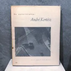 Item thumbnail for item c0e6ae3b-4eb6-460c-bd8a-70e911496d87