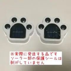 Item thumbnail for item 536696f7-2248-4b9d-bb34-1ef38eafdd70