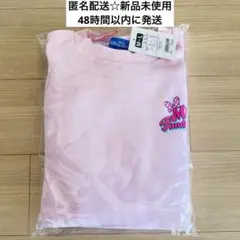 新品 ミニー ファンダーランド トレーナー M~L ディズニー パルパルーザ