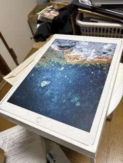 Apple iPad Pro 12.9インチ（第2世代）Wi-Fi 256GBのサムネイル