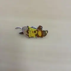 Palnart Poc ポケモン ブローチ ヒトカゲ ゼニガメ フシギダネ - メルカリ