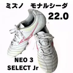 モナルシーダ NEO 3 SELECT Jスパイク　P1GB242560 22