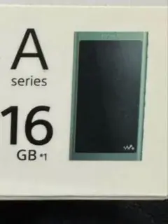 レア 動作品 sony WALKMAN NW-A55 ミッキーマウス 刻印