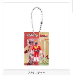 2025年最新】コレクション スーパー 戦隊の人気アイテム - メルカリ