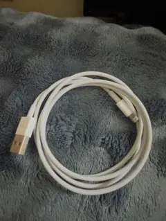Apple Genuine Lightning USB ケーブル＋ACアダプタ