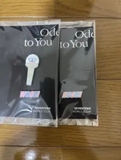 Item thumbnail for item a861e700-0dc4-46f9-a2a7-480ac3a76c57