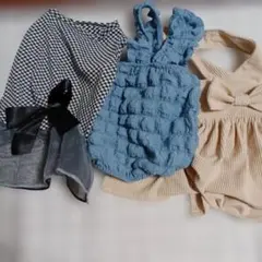 犬服 3点セット フリル リボン