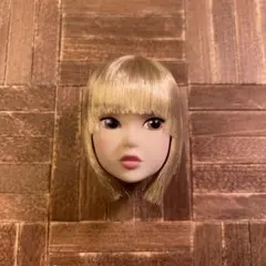 momoko dollヘッドCCS17AW