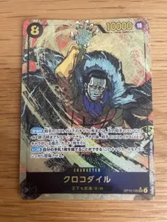 クロコダイル シクパラ