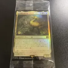 桃源郷の探求者、チョコ　プレリリース未開封品