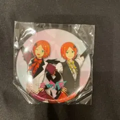 スタライ缶バッジ 2wink