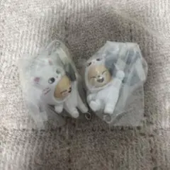 skzoo つまんでつなげてますこっと フォクシニー